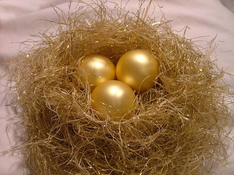 金蛋