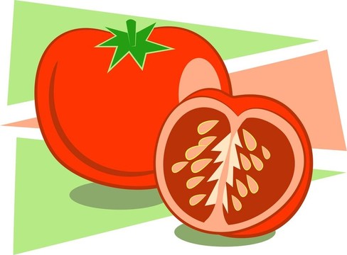 西紅柿