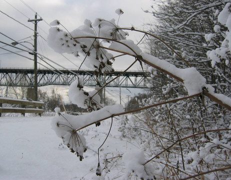 第一場雪