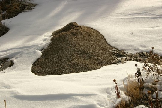 雪