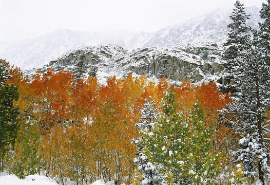 Mountains第一場雪