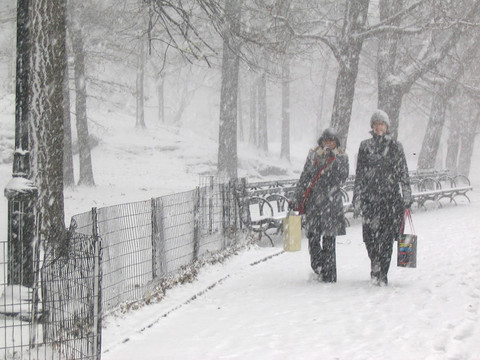 公園里的雪