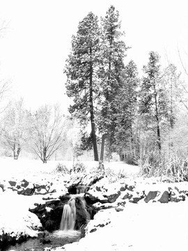冬天的雪