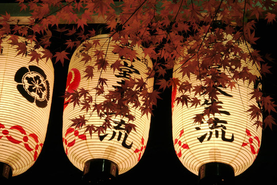 空白7