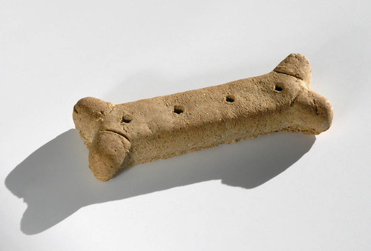 狗對(duì)待