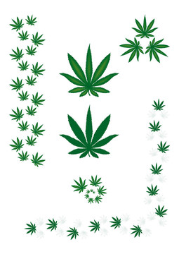 大麻