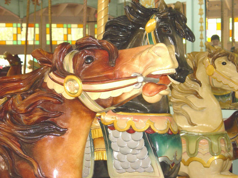 horse1