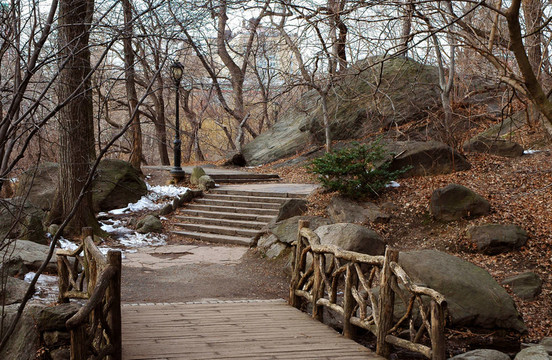 中央公園