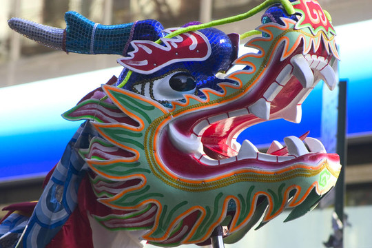 龍