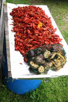 crawfish3