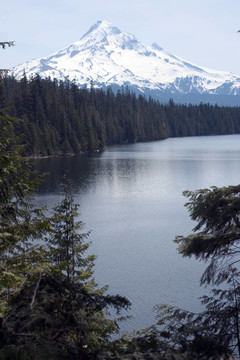來自湖心島的Mt Hood