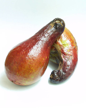 鱷梨
