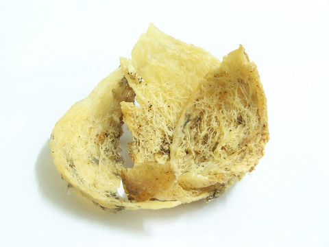 鳥巢