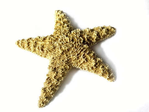 魚星