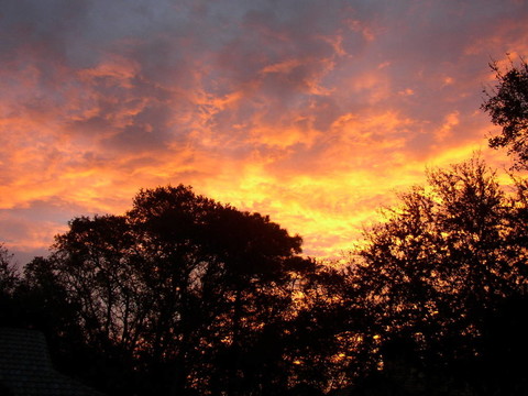 紅色的天空1