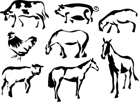 農場上的動物
