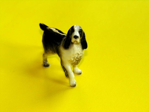 Springer Spaniel圖