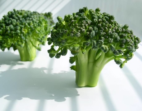 西蘭花
