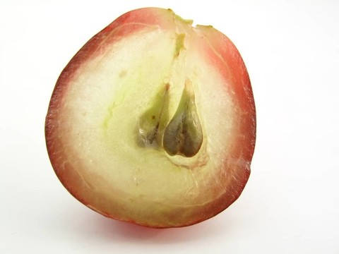 葡萄