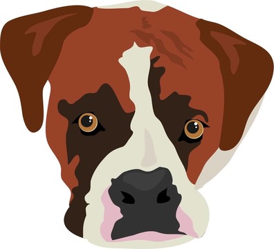 拳師犬