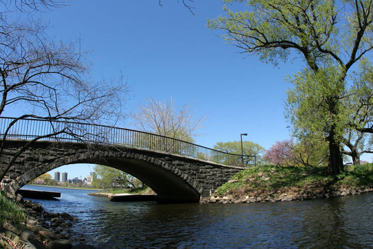 公園橋