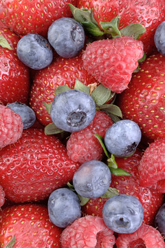 漿果berrylicious 1