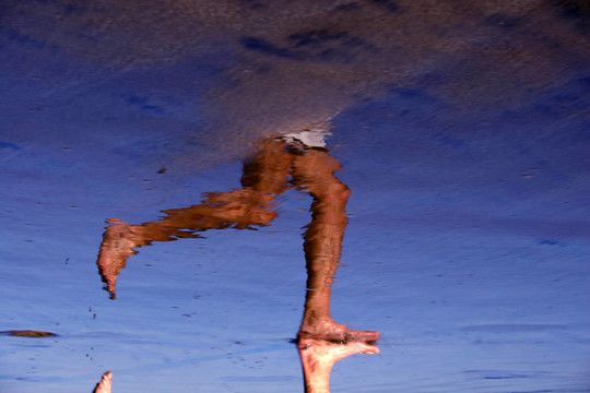 joggerreflected