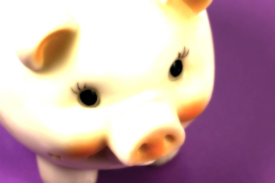 小豬