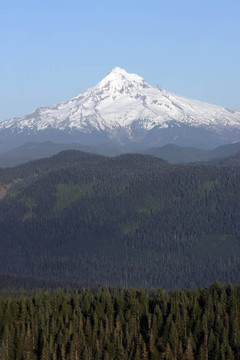 胡德山。