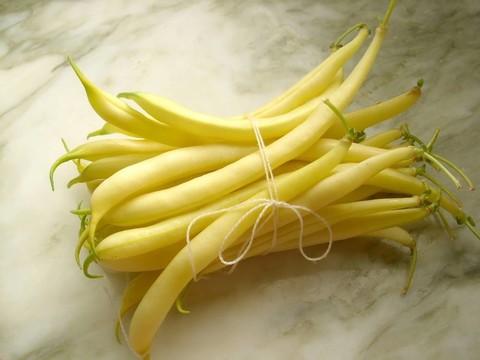 菜豆