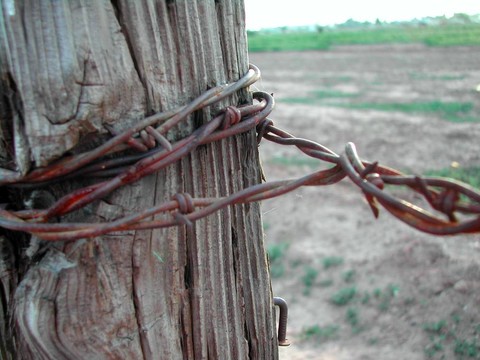 bobwire