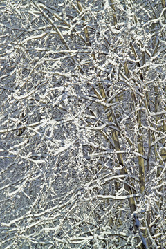 第一場雪