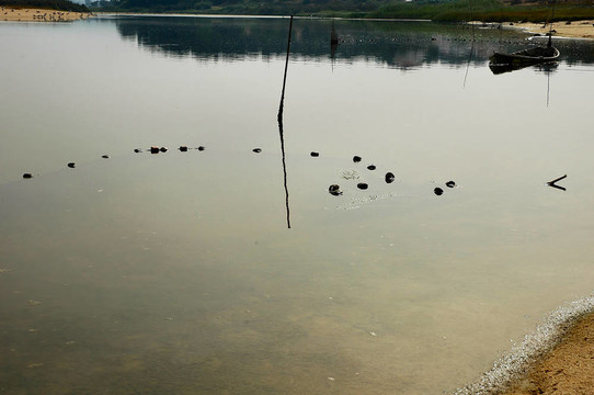 湖
