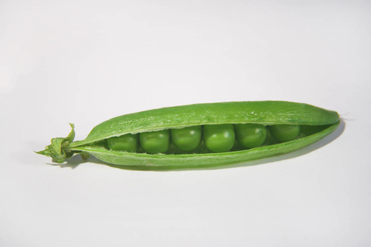 豌豆莢