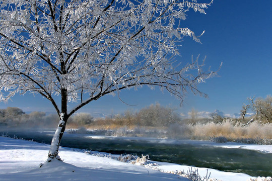 winterscape