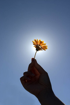 你的花