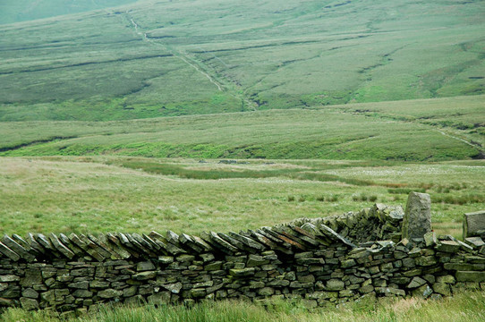干Stone Wall