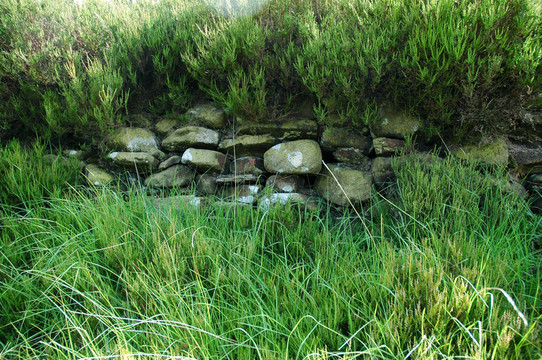 干Stone Wall
