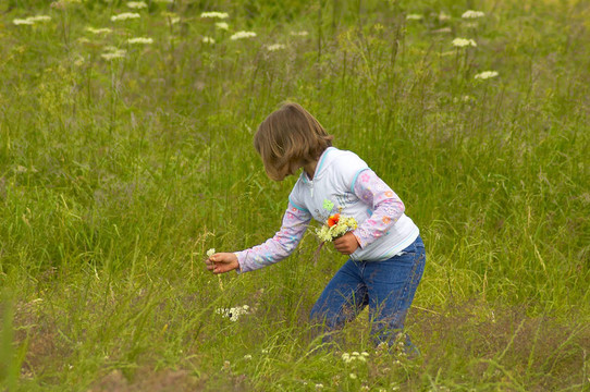 年輕的孩子采摘野花
