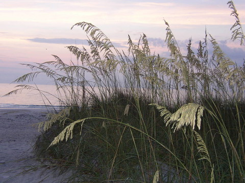 7月2日seaoats