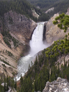 Canyon瀑布- Yellowstone