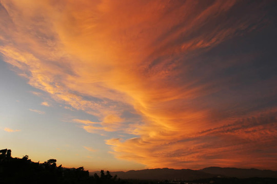 所以Cal Sunset