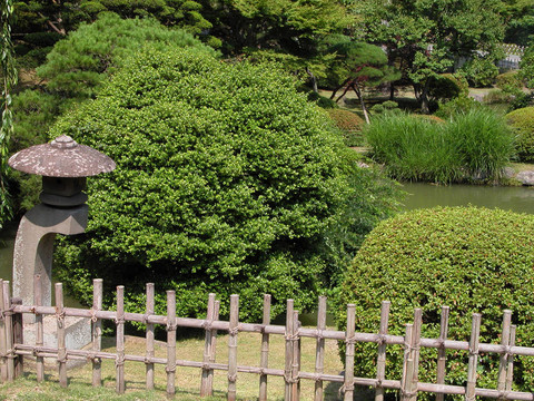 夏日的花園