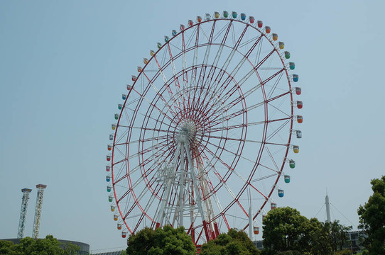 大輪