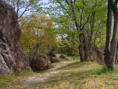 花園里的小路
