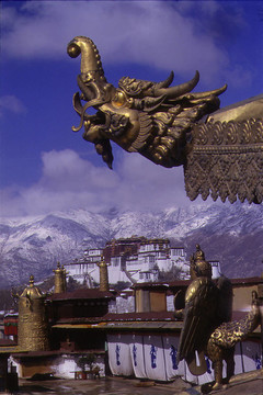 龍