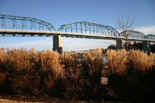 n草橋