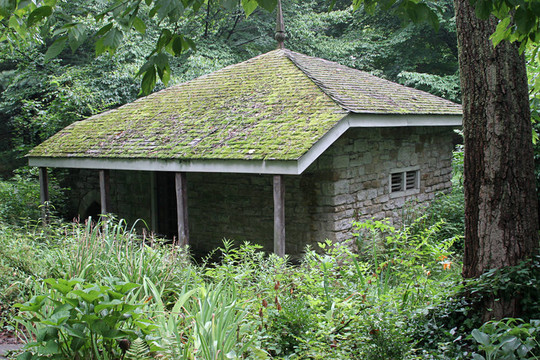 小屋在森林