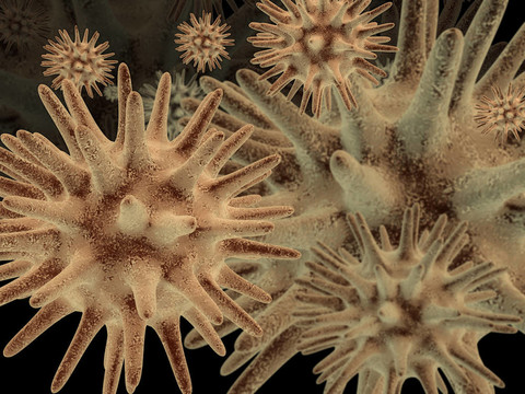 3d微生物1