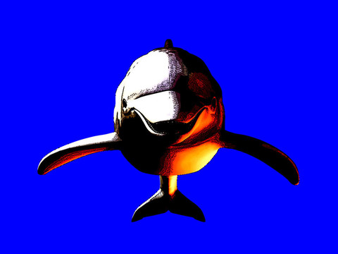 海豚